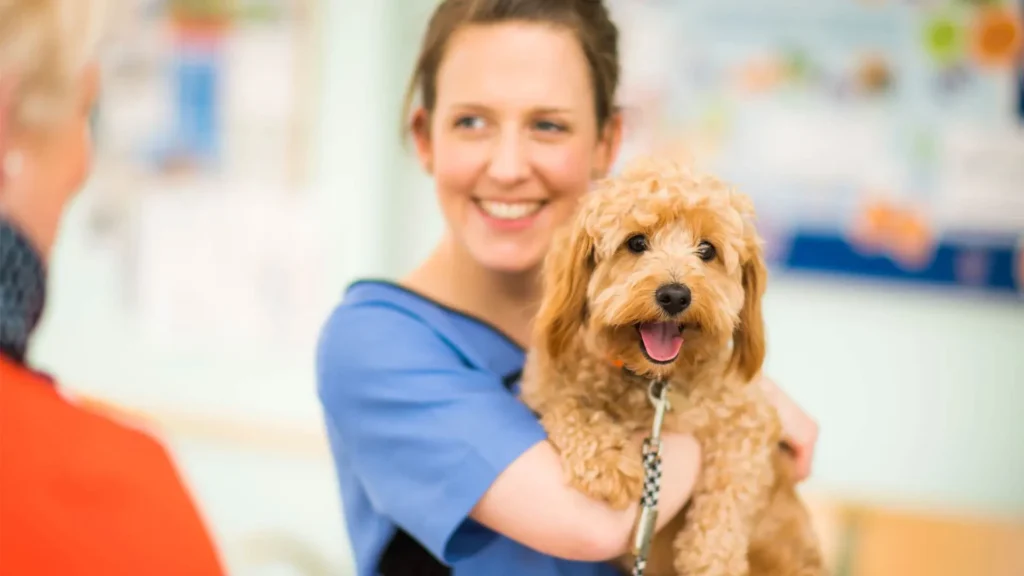 golden puppy nurse