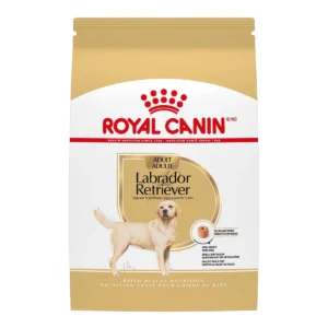 royal canin r breed health nutrition r labrador retriever adult dry dog food 13 6 kg dog food petmax canada 1